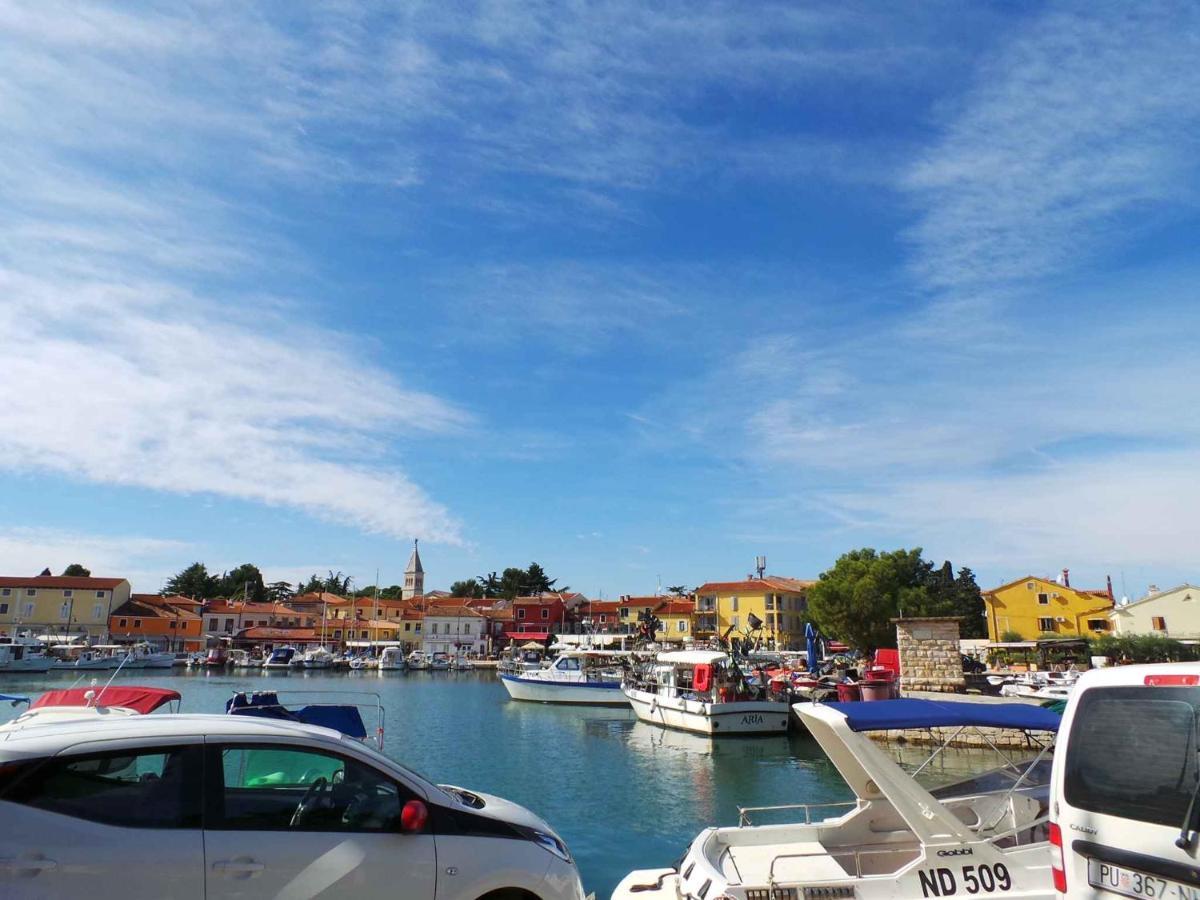 Apartments In Lopar - Insel Rab 40853 Bagian luar foto